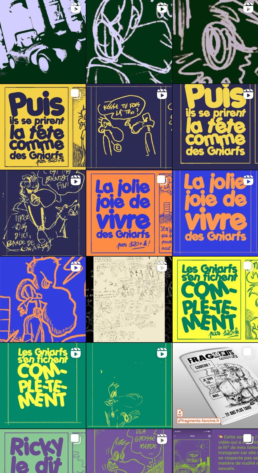 Page Instagram des Gniarfs
